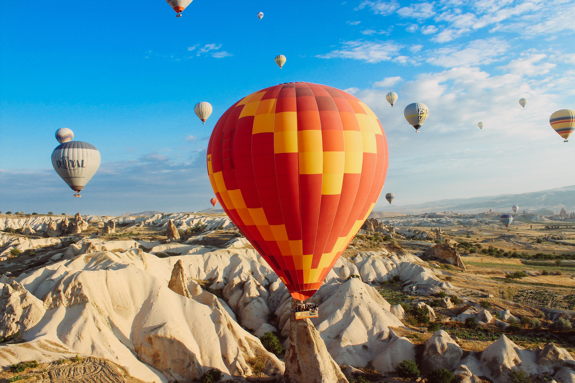 a5eb95b4-c90e-45c0-ae09-e13f69ccd80corange balloon